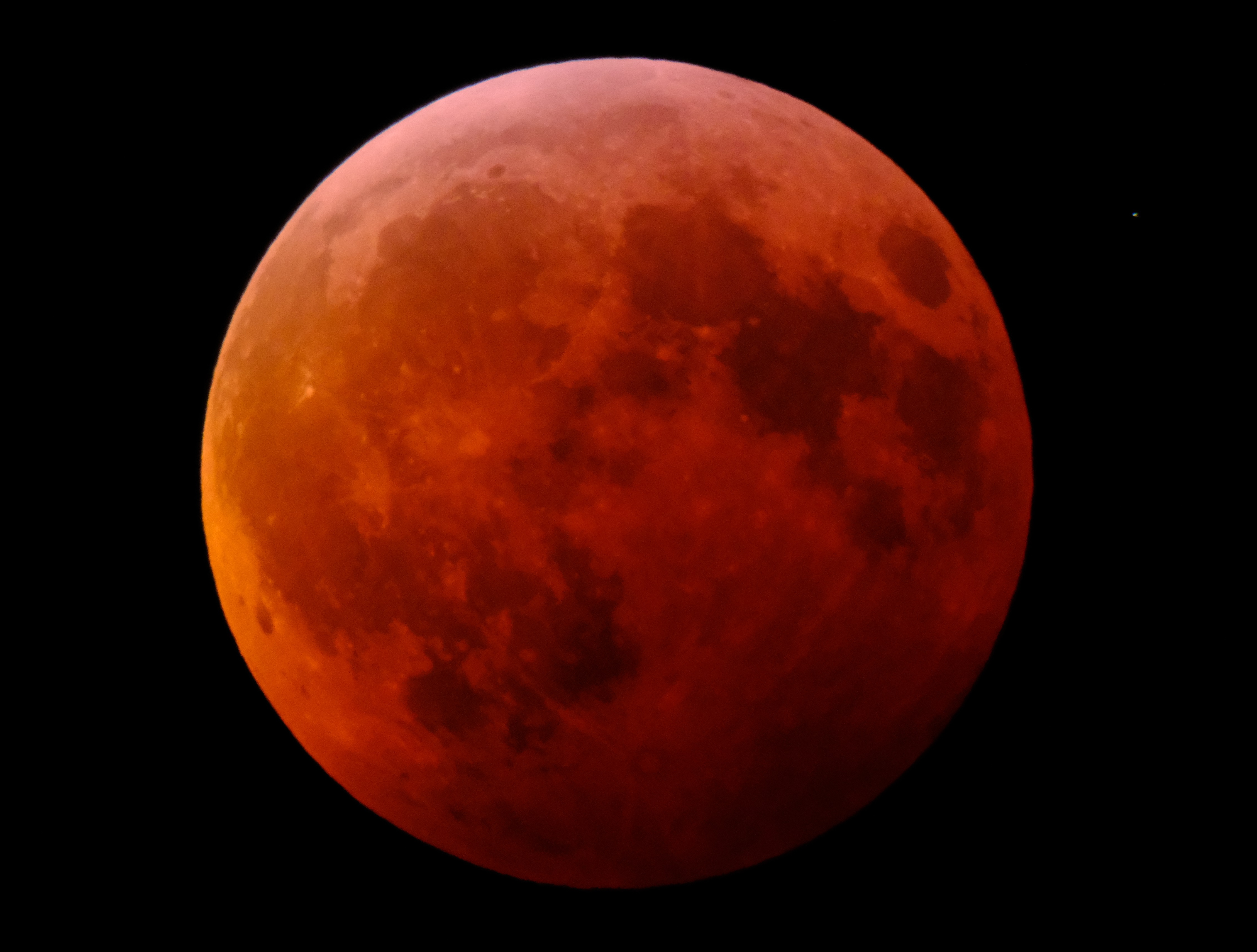 zeller_blood_moon